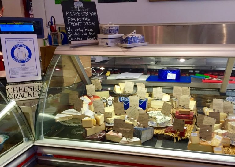 rothie-cheese rothie-cheese