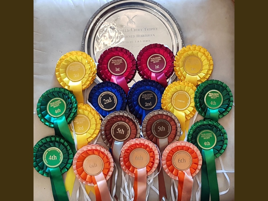 ardoch-rostettes ardoch-rostettes