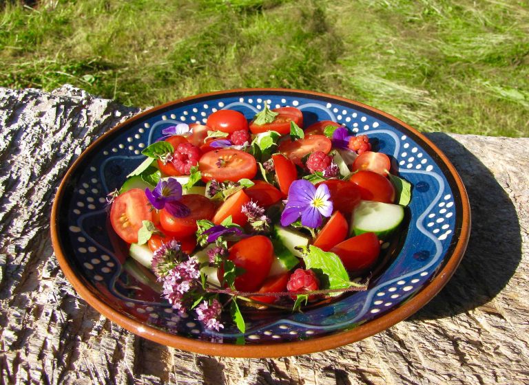 Foraged Salad with Summer Harvest Raspberry Dressing – vegan