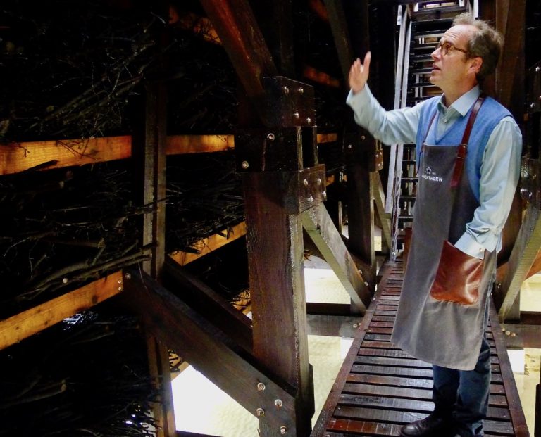 blackthorn1 1 768x621