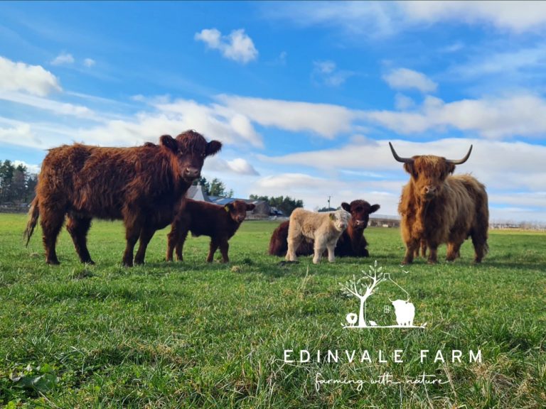 macbeth coos 1 768x576