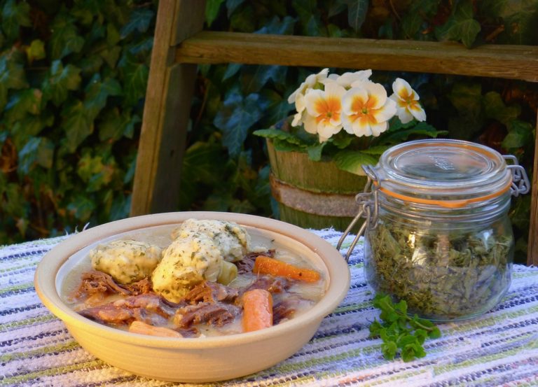 NRdumplings lge 768x553