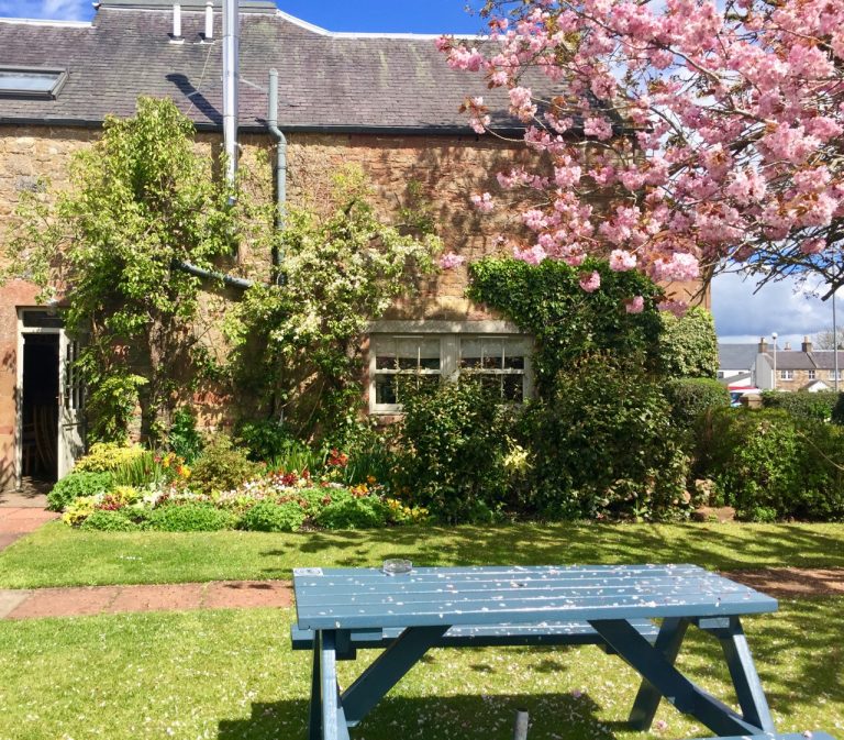 buccleuch garden 2 768x673