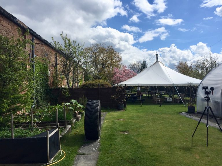 buccleuch garden1 768x576