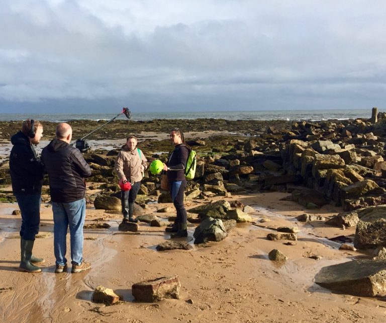 jayson seaweed2 768x642