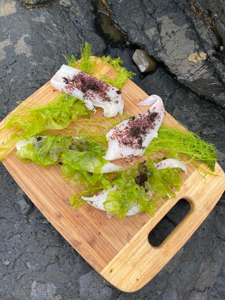 East Neuk Seaweed Scottish summer i