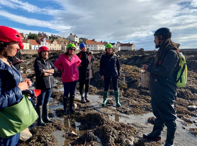 Scottish Foraging East Neuk Seaweed Pittenweem 768x570