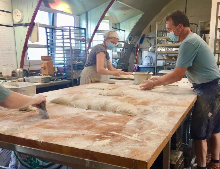 wildhearth1 sept21 768x590