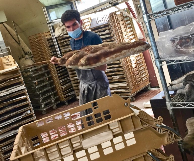 wildhearth2 sept21 768x638