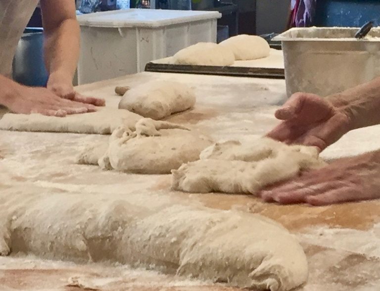 wildhearth3 sept21 768x588