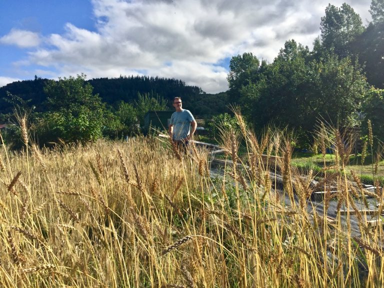 wildhearth6 sept21 768x576