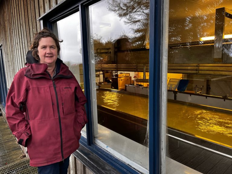 MullCheese oct21 Shelagh 768x576