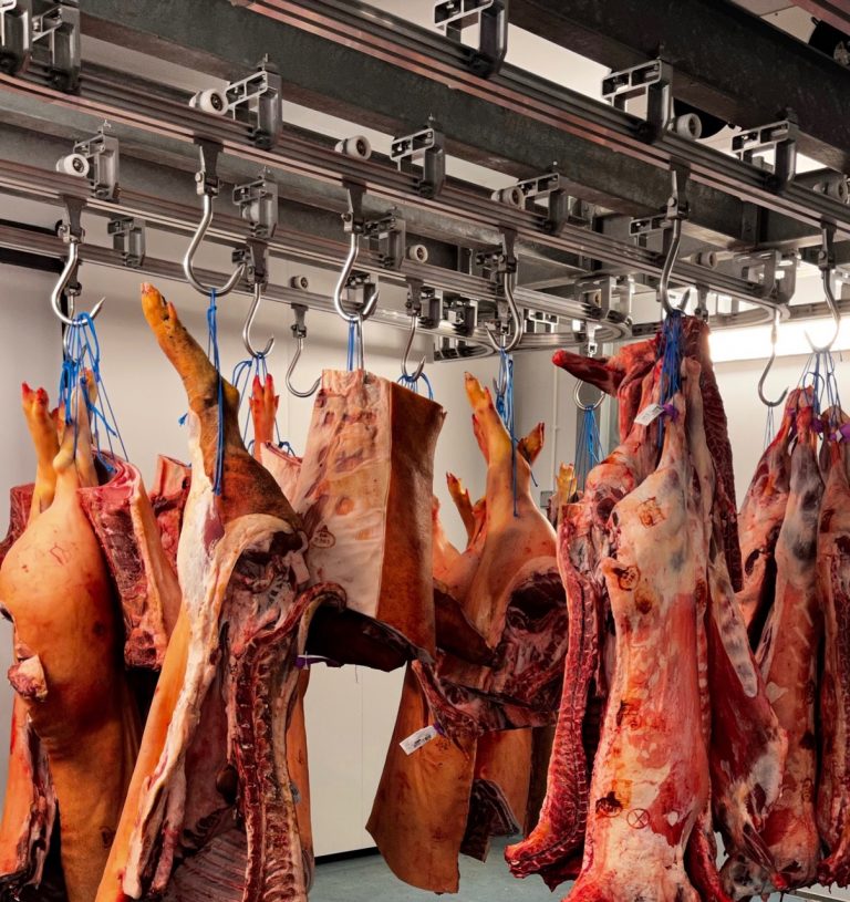 peelham visit oct21 butchery 1 768x815