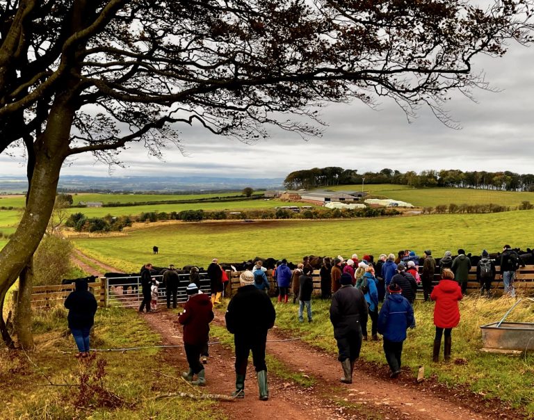 peelham visit oct21 panoramic 768x604