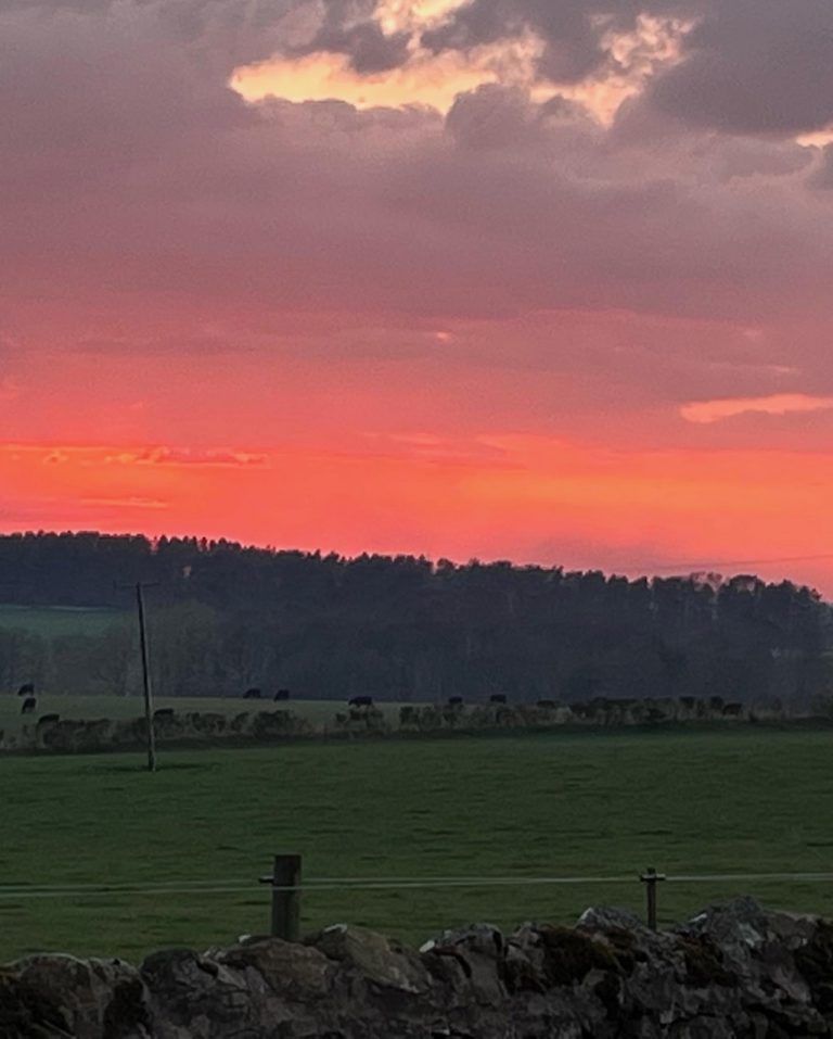 hardiesmill4 768x957