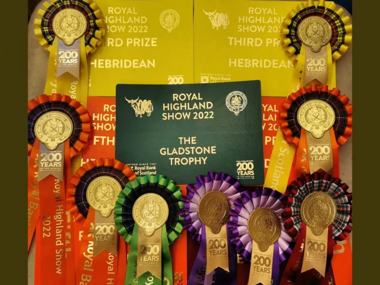 ardoch RHS medals22 768x576