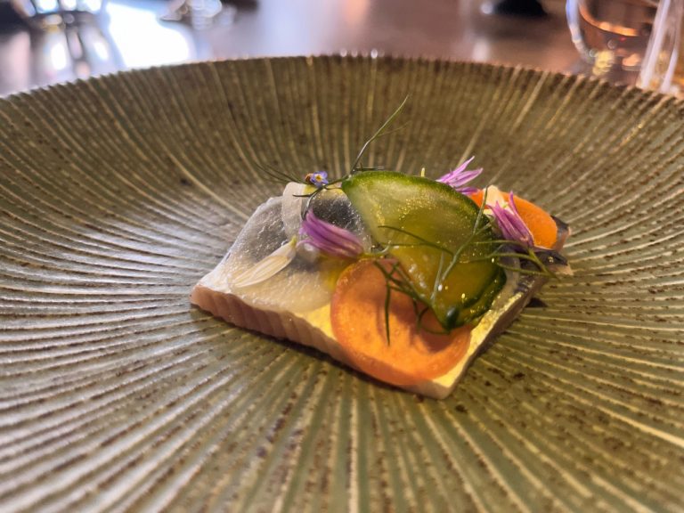 gannet22 herring 768x576