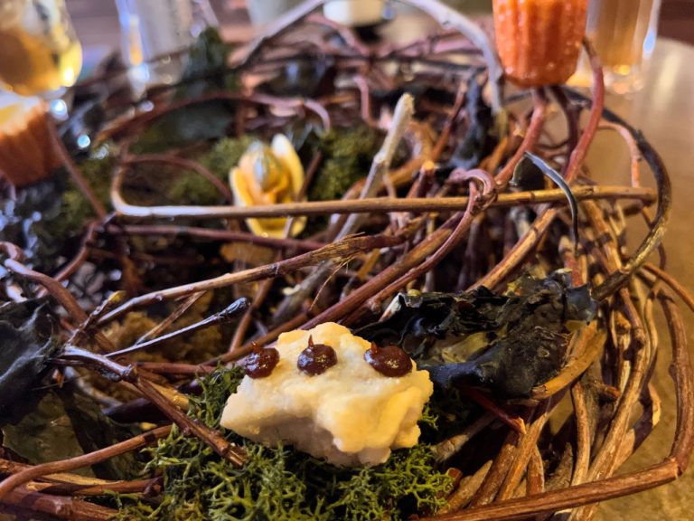 gannet22 nest 768x576