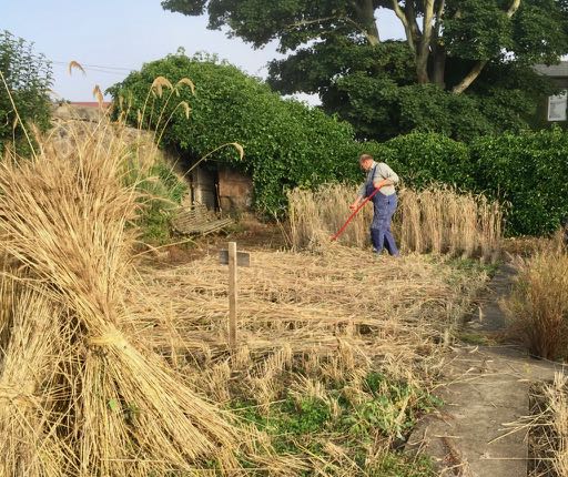 14 scything@ardross aug21