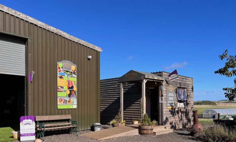 brand sept22 shops 768x461