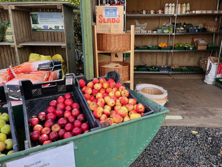 brand sept22a 768x576