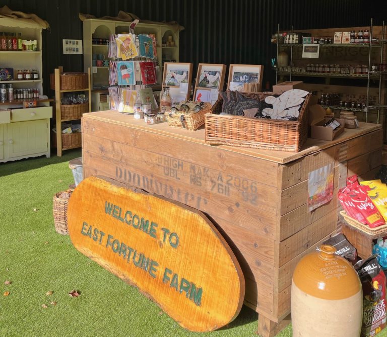 brand sept22c 768x670