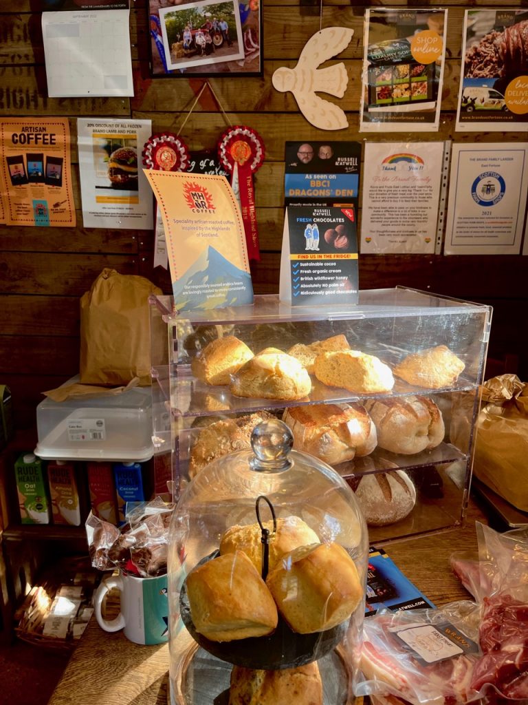 brand sept22shop 768x1024