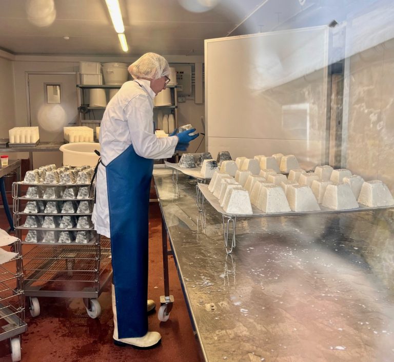 errington2 dec22 768x706