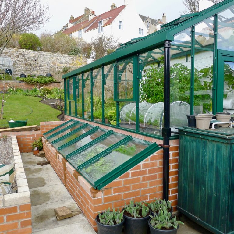 dory garden apr21 768x768