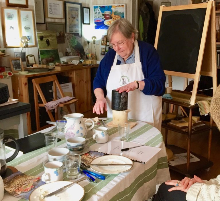 kathy in action mar20 768x701