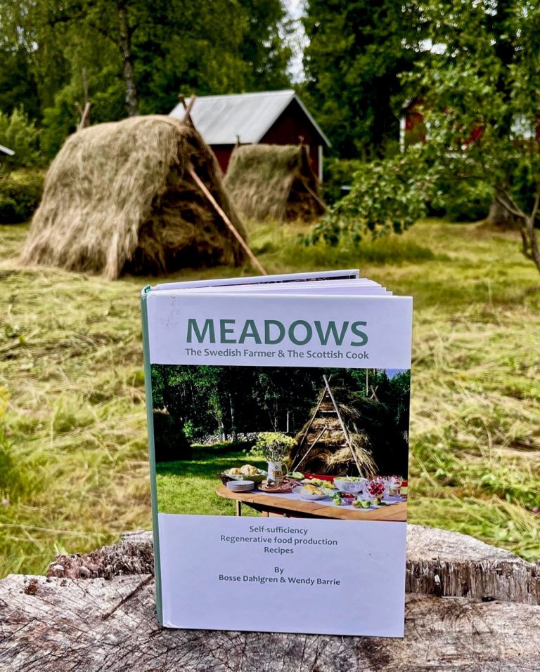 meadows on meadow log 768x957