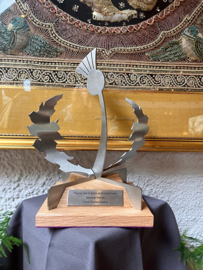 errichel award 768x1024