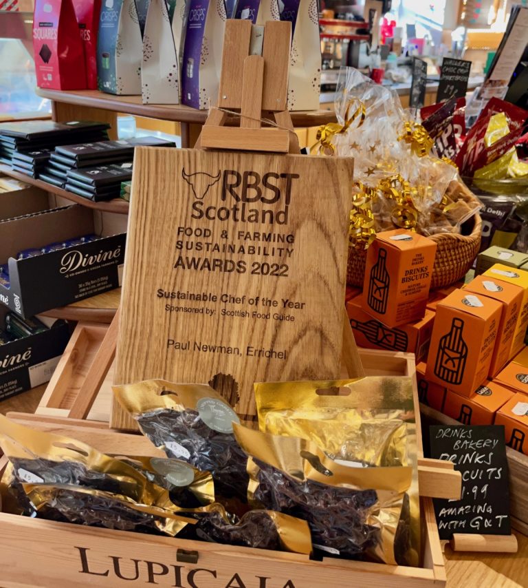 errichel feb23 3 768x854