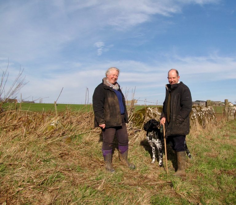 hardiesmill AR1 768x669