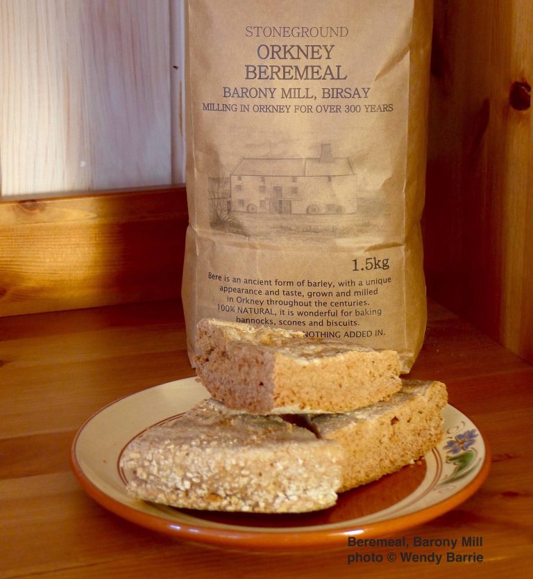 beremealmedWB 768x833