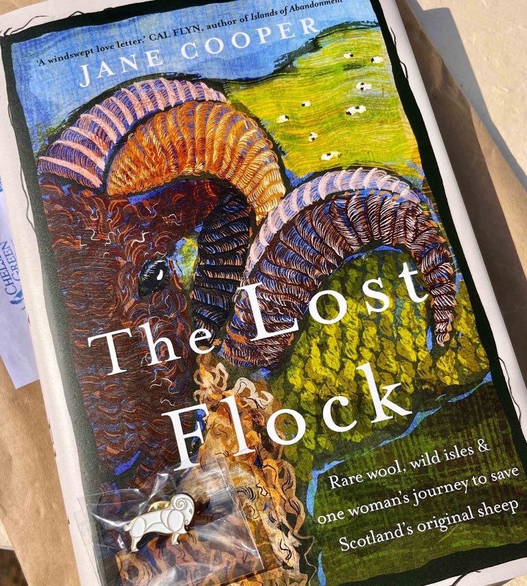 lost flock 2 768x854