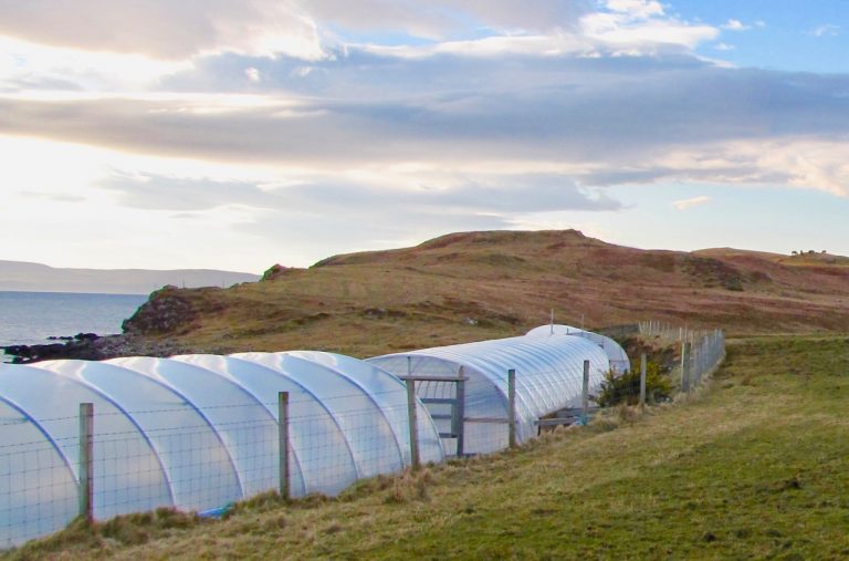 skyesalt mar18a 768x507