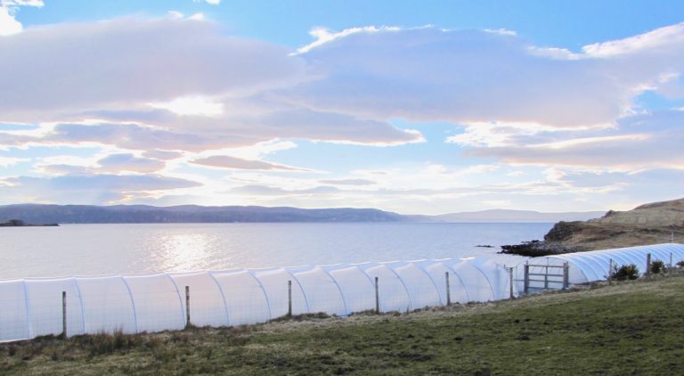 skyesalt mar18b 768x422