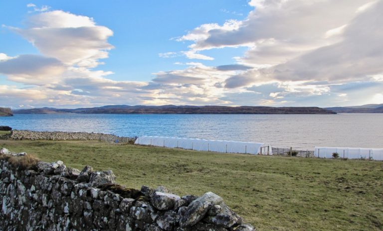 skyesalt mar18c 768x464