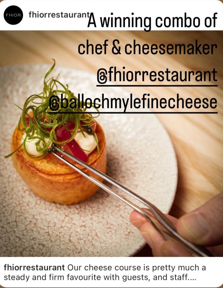 ballochmyle fhior 768x989