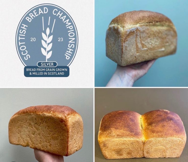 dainty monkey23 768x661