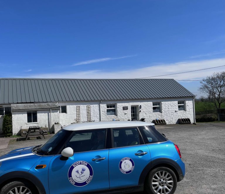 dunlop exteriormini 768x660