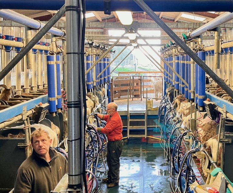 SFD dairy24 ER1 768x638