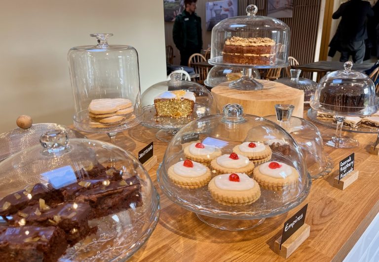 selina cakes 768x531