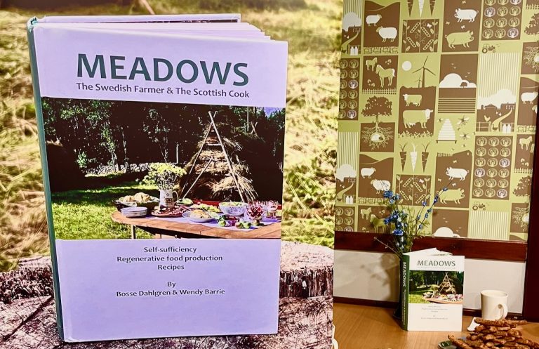 bk@boydie oct22 768x497