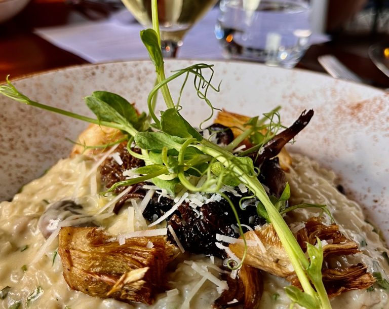 wee rest4 feb24 768x610