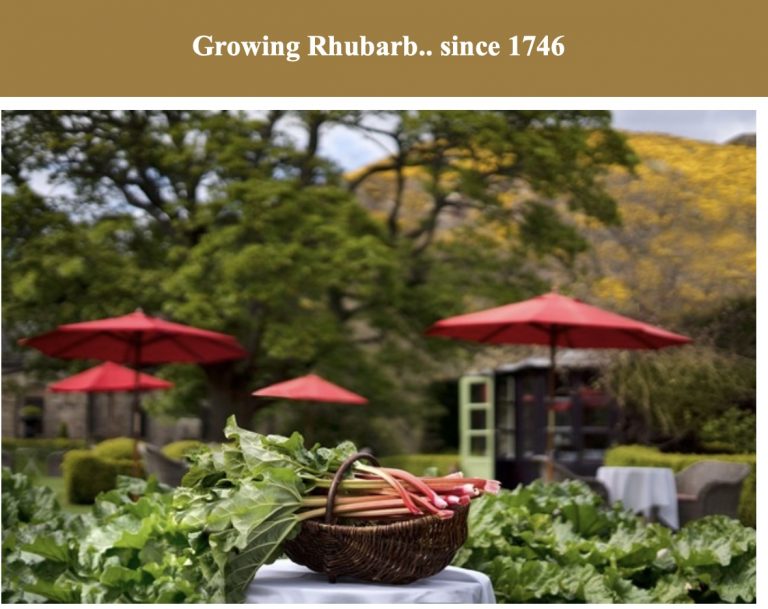 prestonfield©️rhubarb 1 768x609