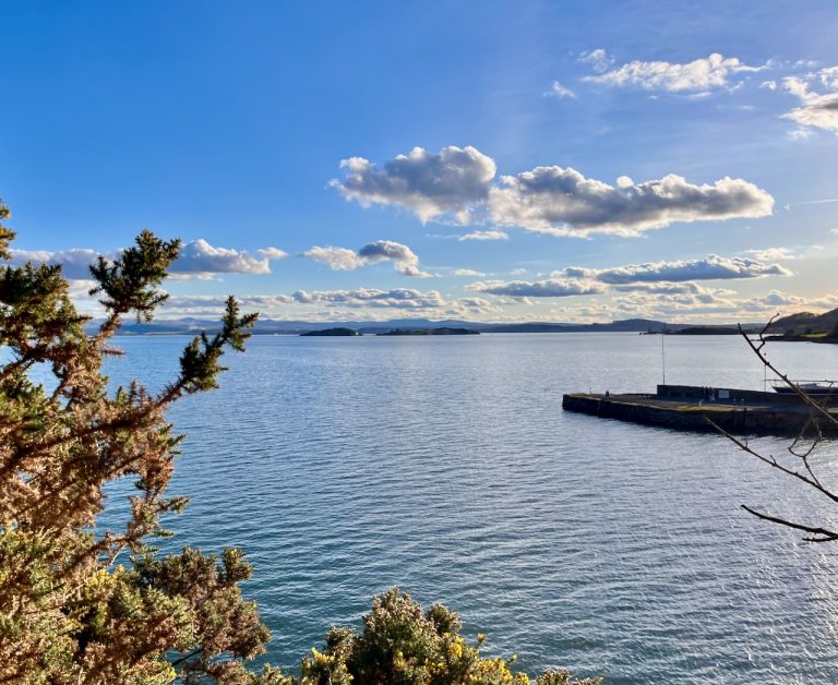 view with gorse feb24 768x628