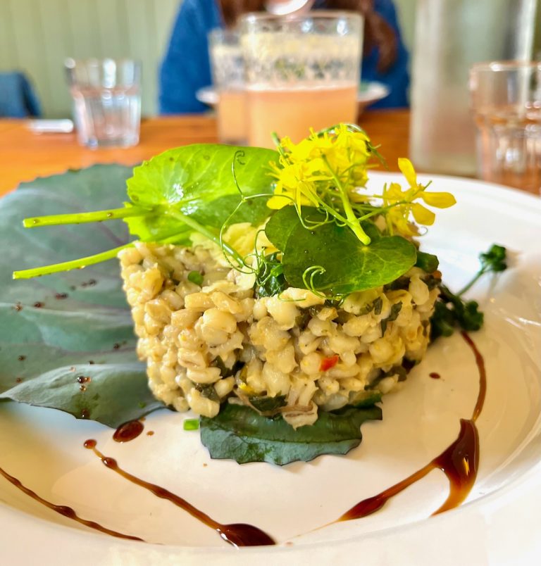 wilson rhubarb mocktail pearl barley risotto 768x804