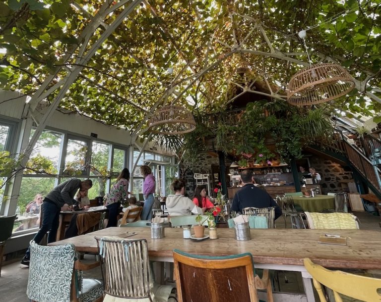 IOMC aug24 b 768x610